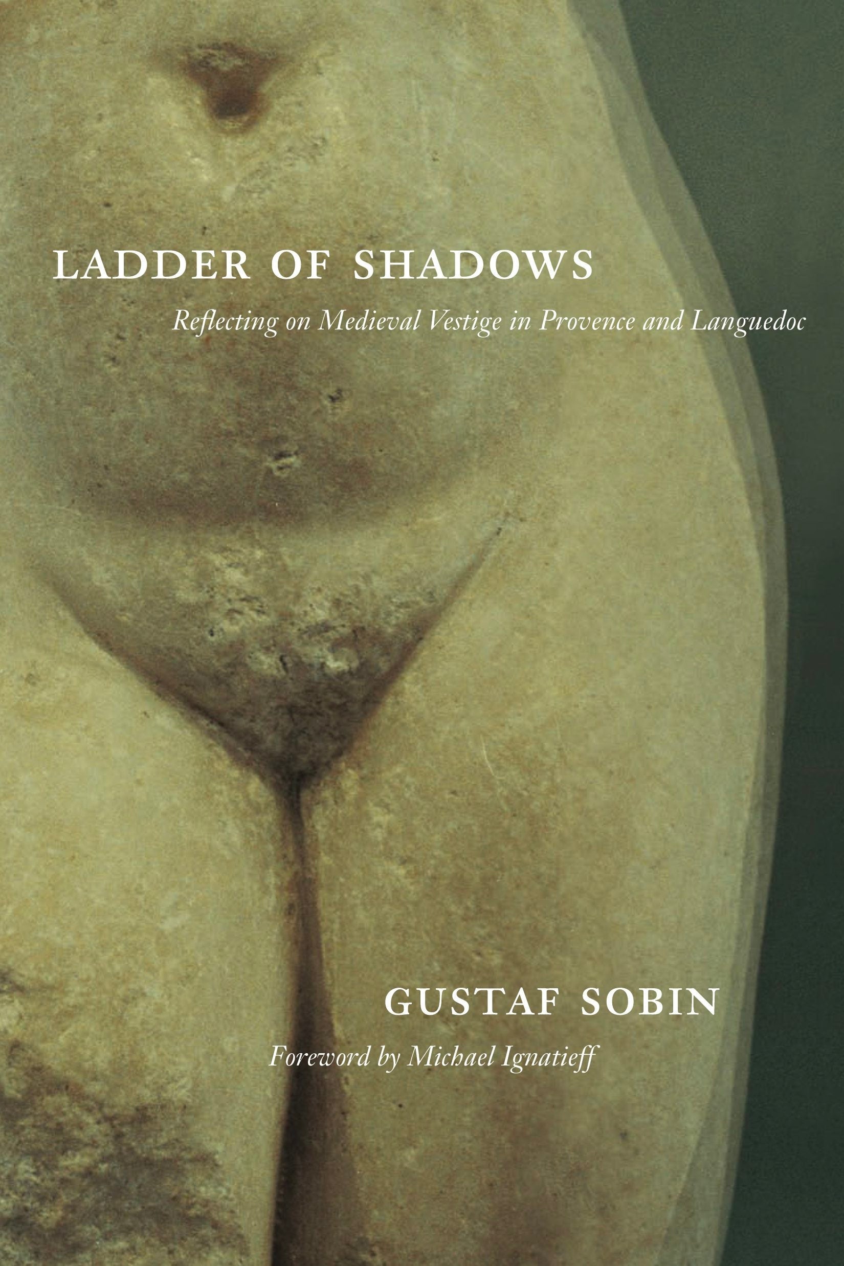 Book cover image for Ladder of Shadows ISBN: 9780520942417